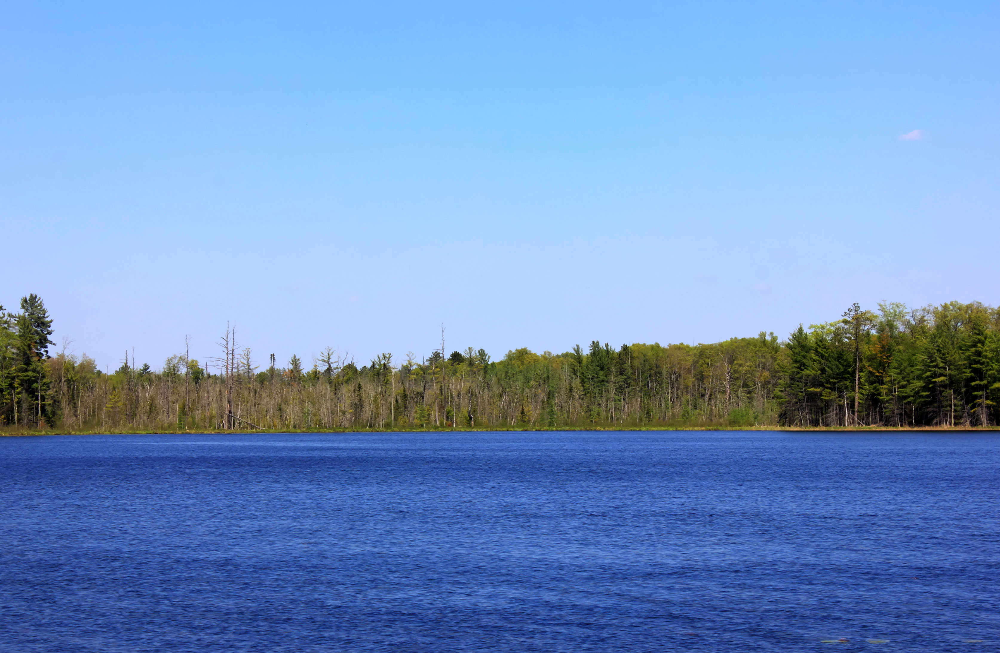 Looking across wood lake