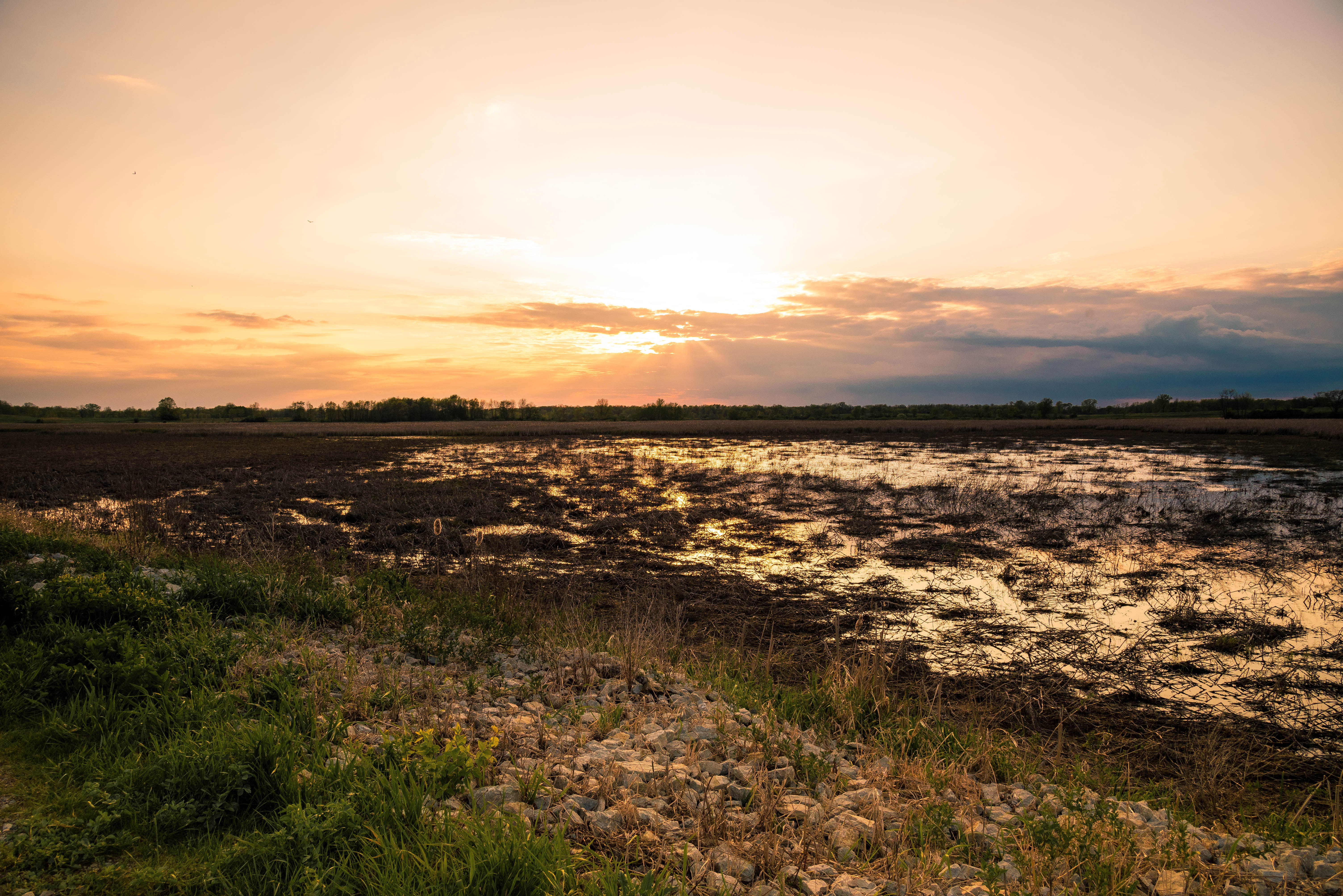 Landscape colors over the Marsh