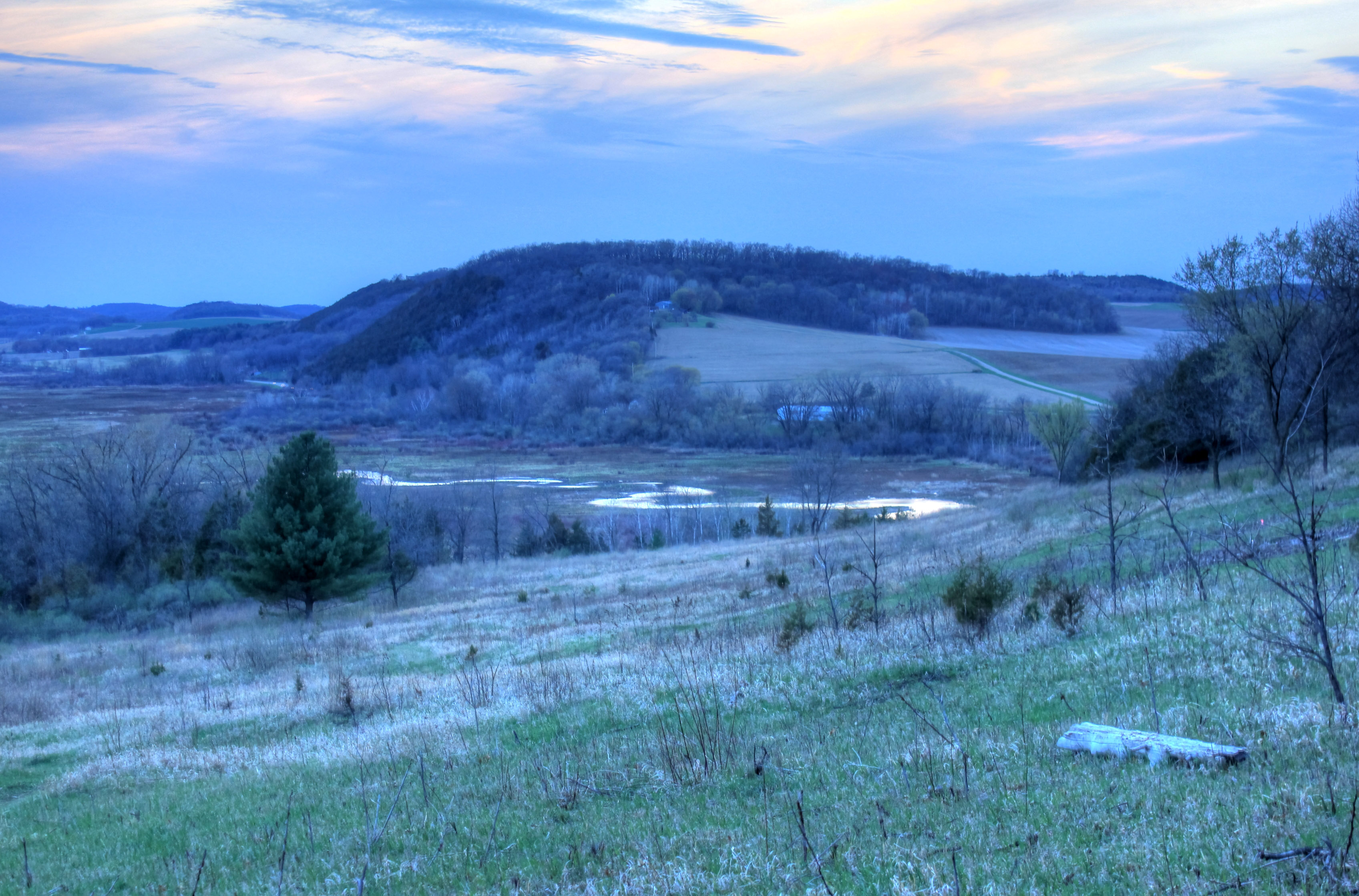 Marsh before Dark