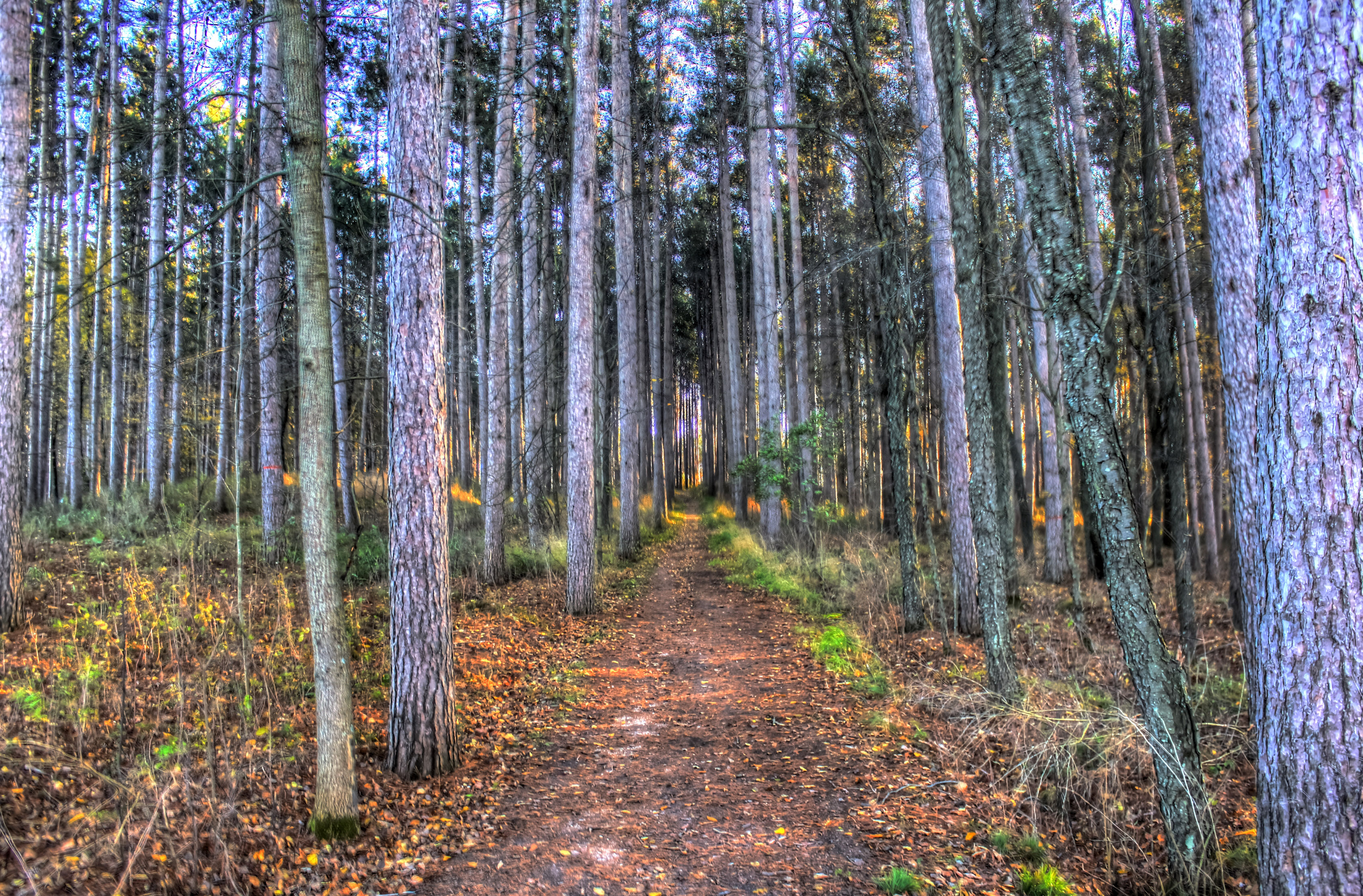 Hiking Trail