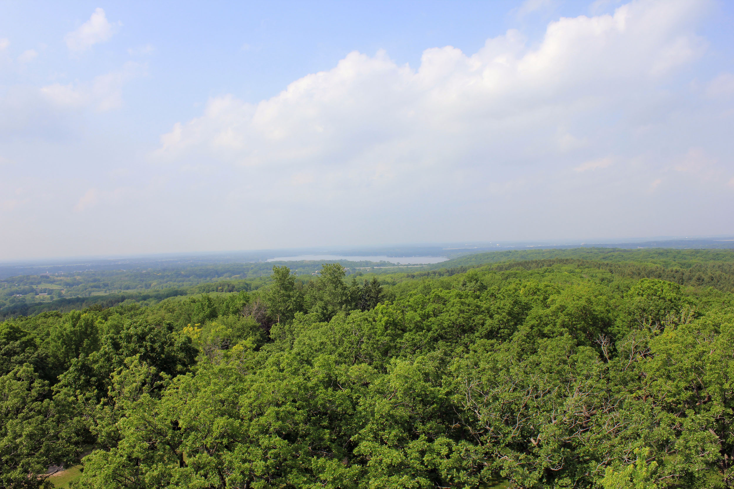 View from Lapham peak observation tower