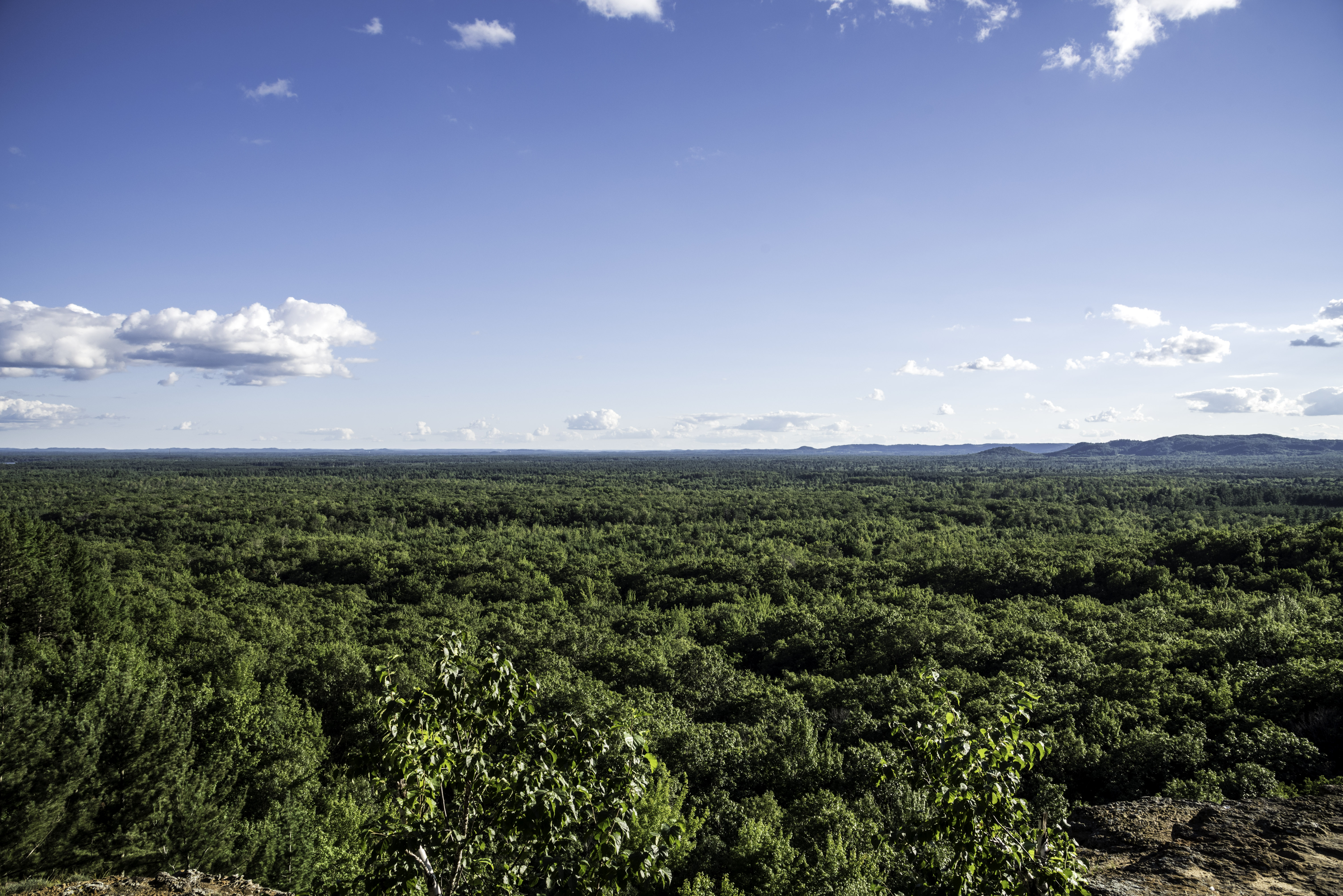 Free Stock Photo of Trees and sky to the Horizon at Levis 