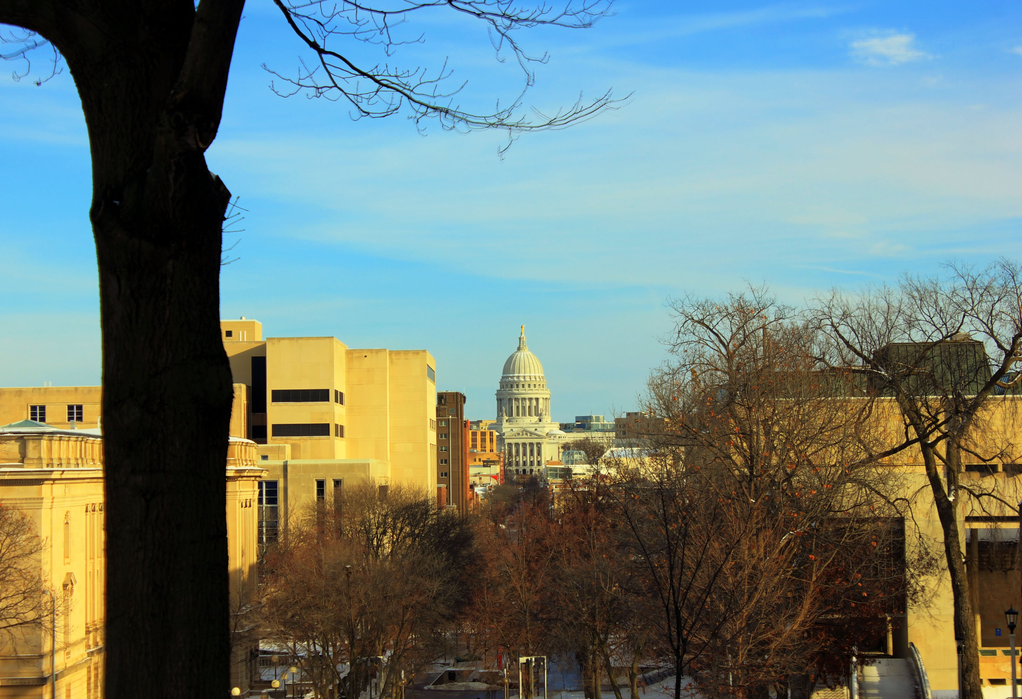 Capitol in winter in Madison, Wisconsin free photo. 