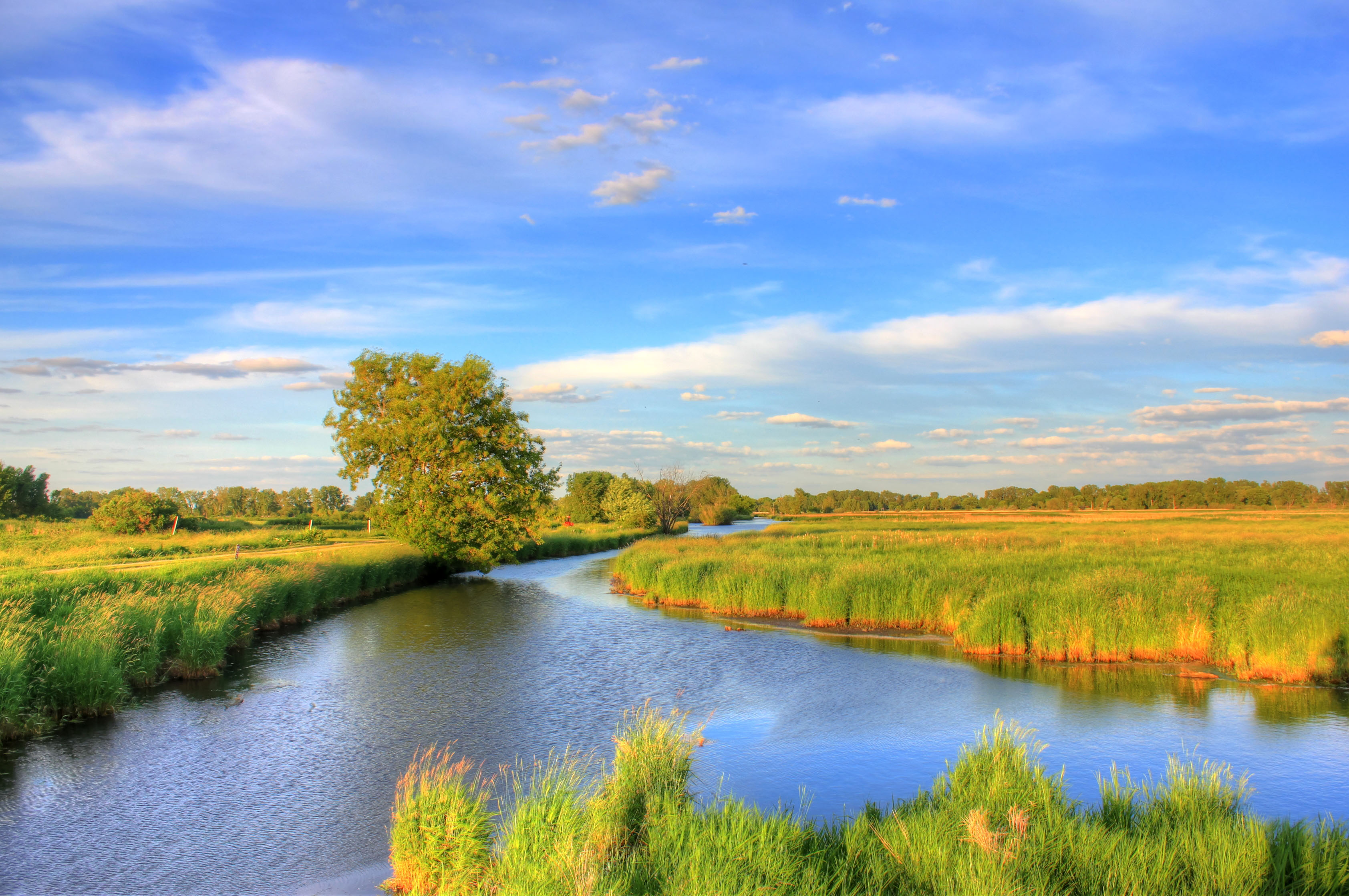 Streams of the wetlands in Madison, Wisconsin image - Free stock photo ...