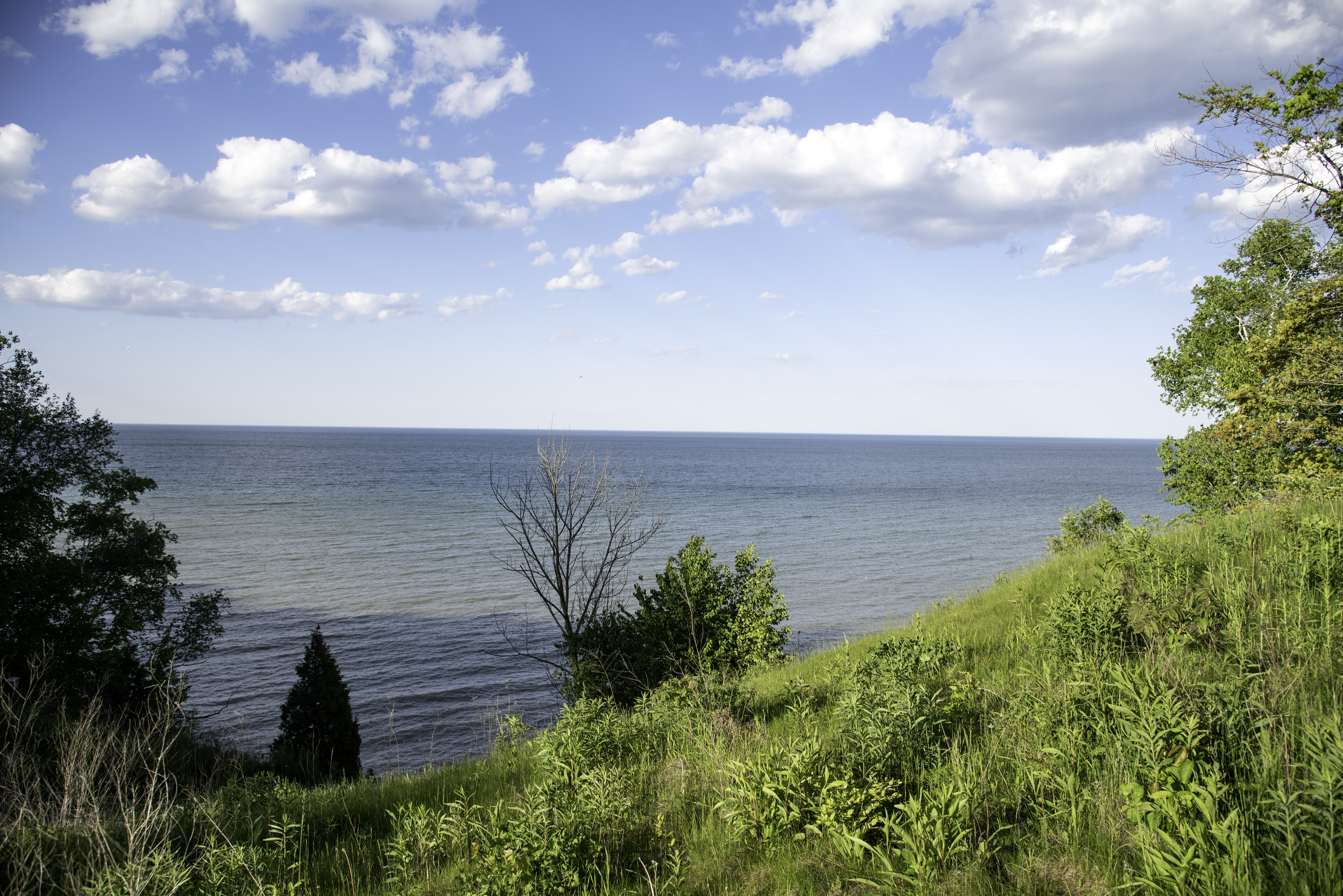 View of the landscape on lake Michigan image - Free stock photo - Public  Domain photo - CC0 Images