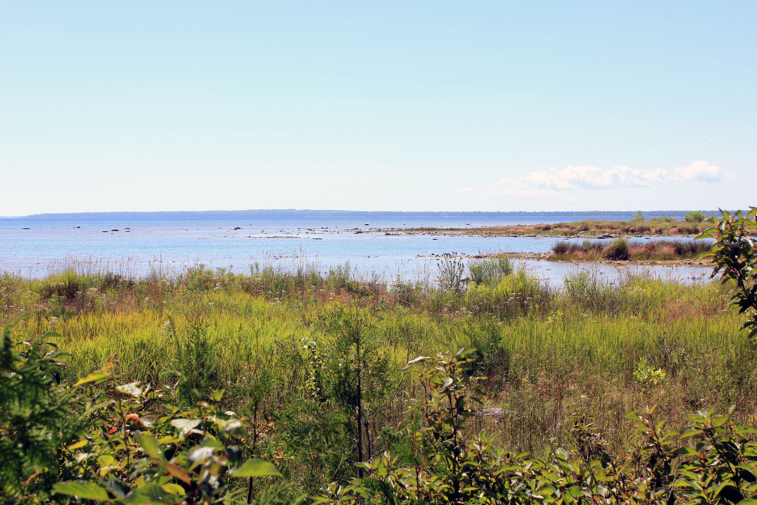 Newport State Park