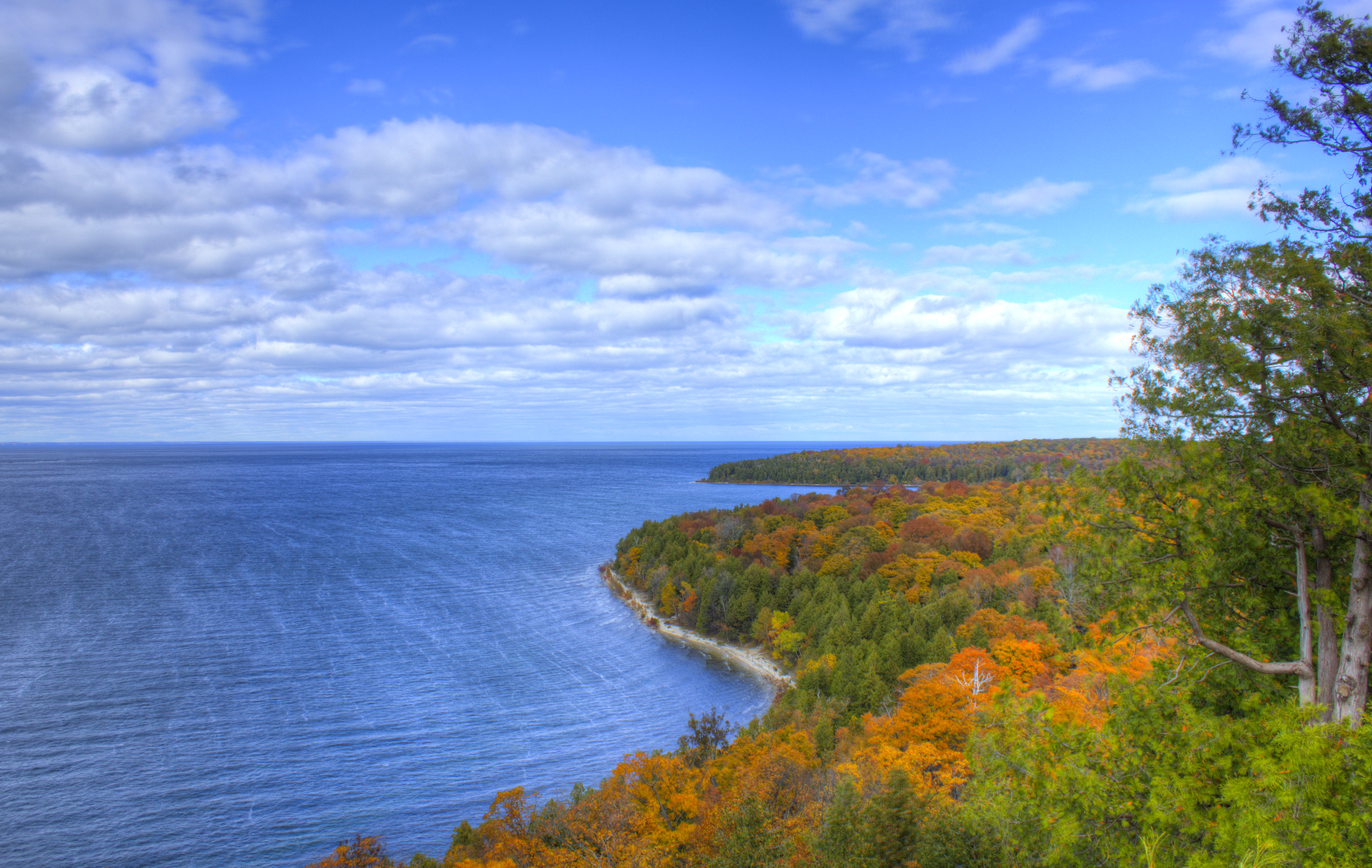 Shoreline with leaves