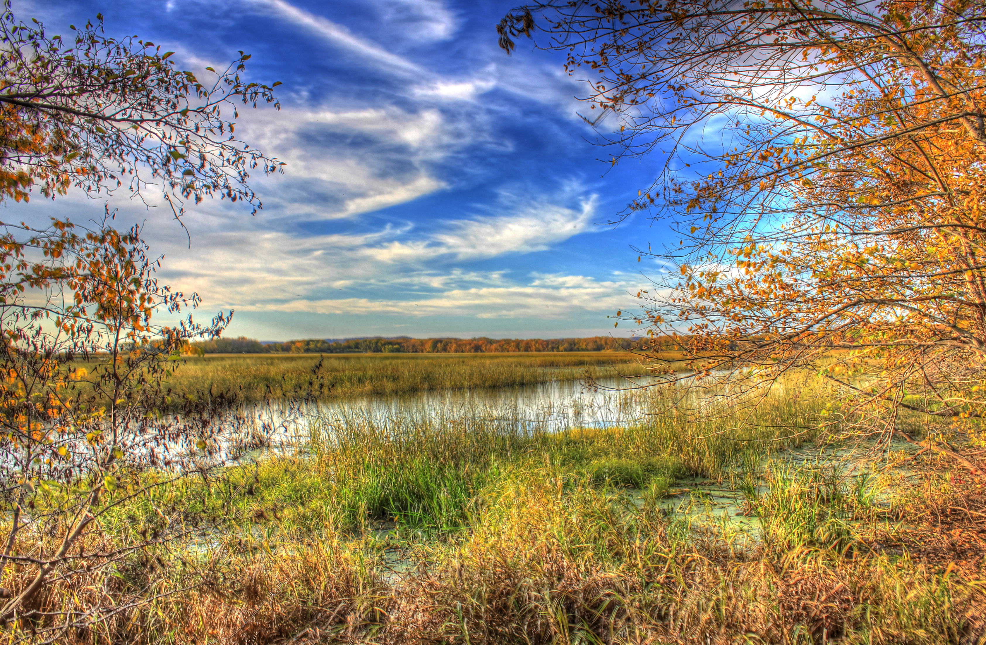 Marshes and Natural Landscape