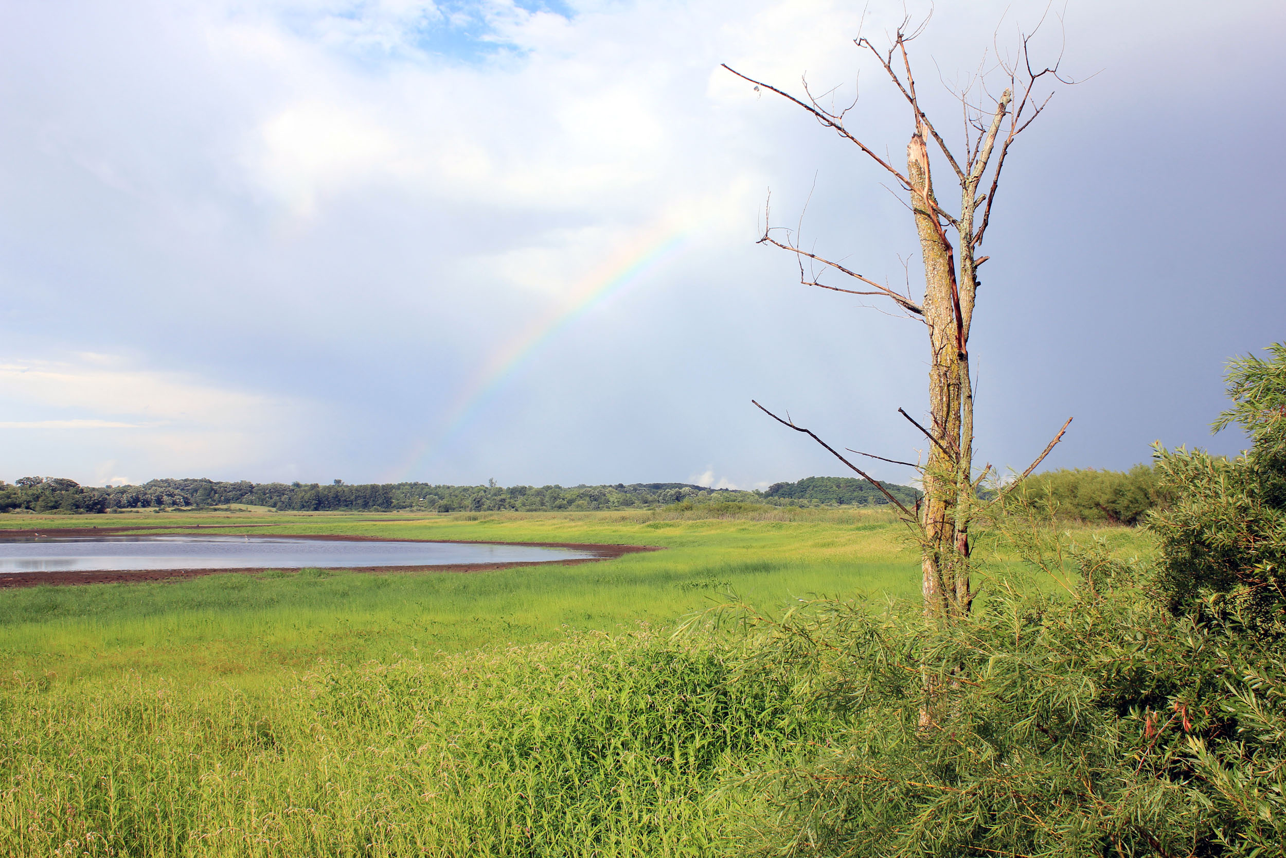 Pond with Rainbow