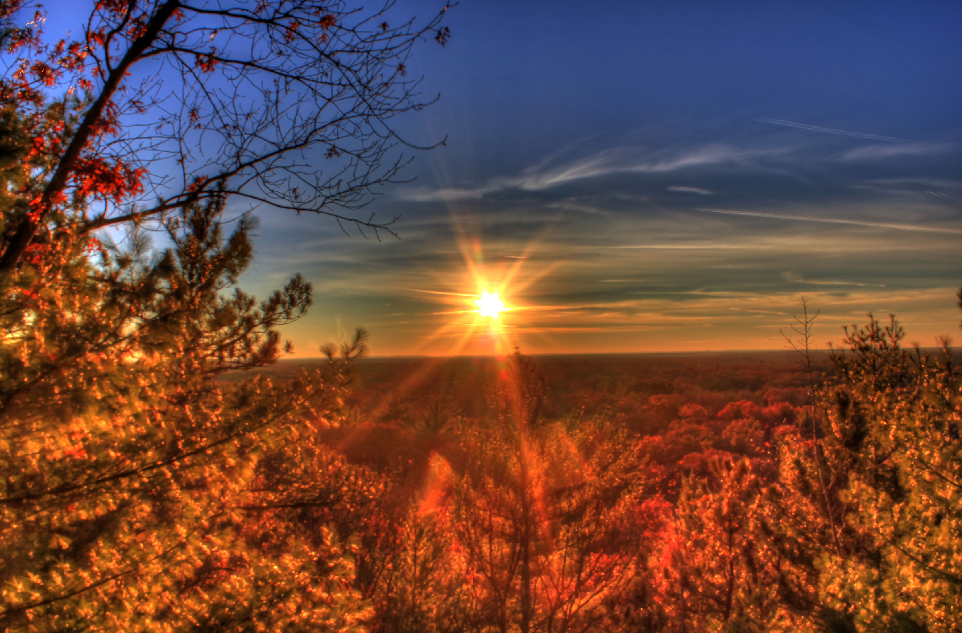 Late Afternoon sun