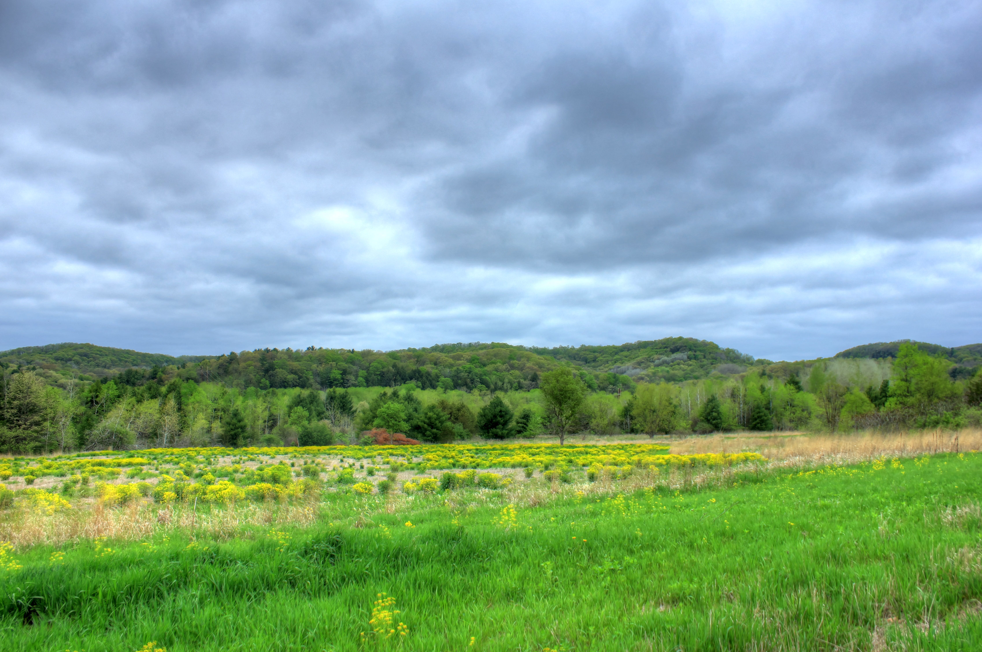 Hills under cloudy skies