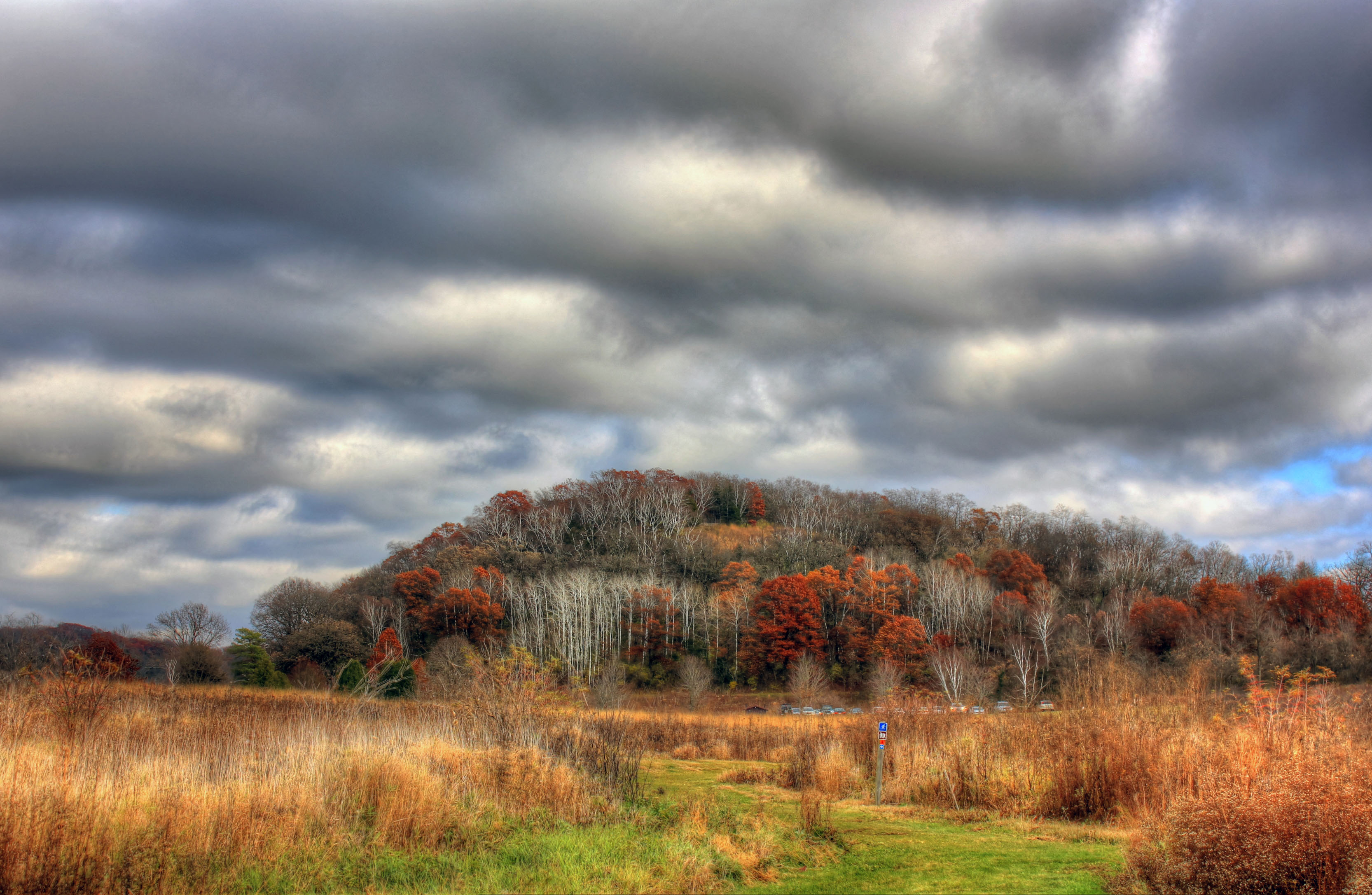 Clouds over Autumn Forest