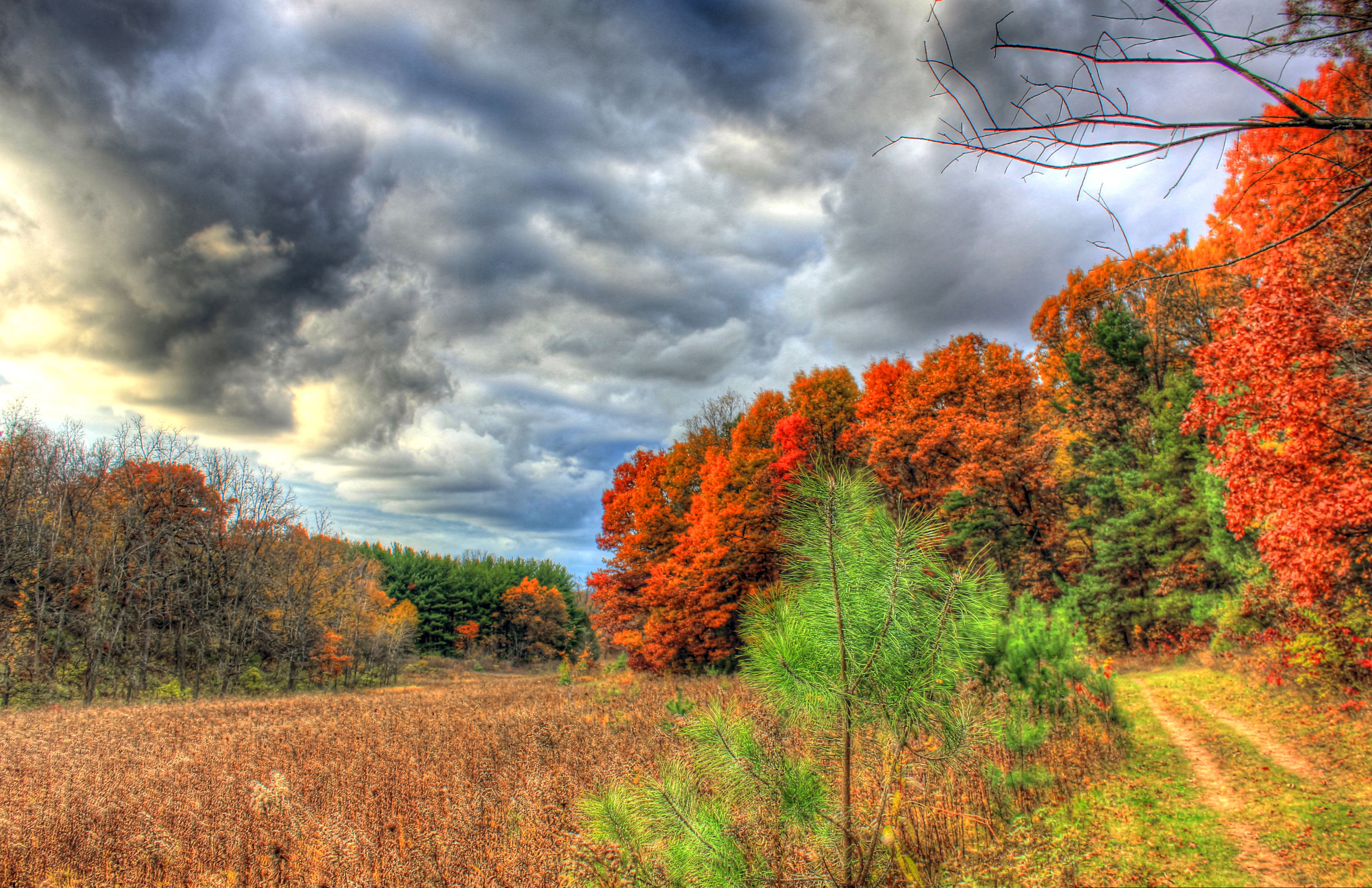 Colors and sky on the hiking trail in Southern Wisconsin image - Free stock photo - Public ...