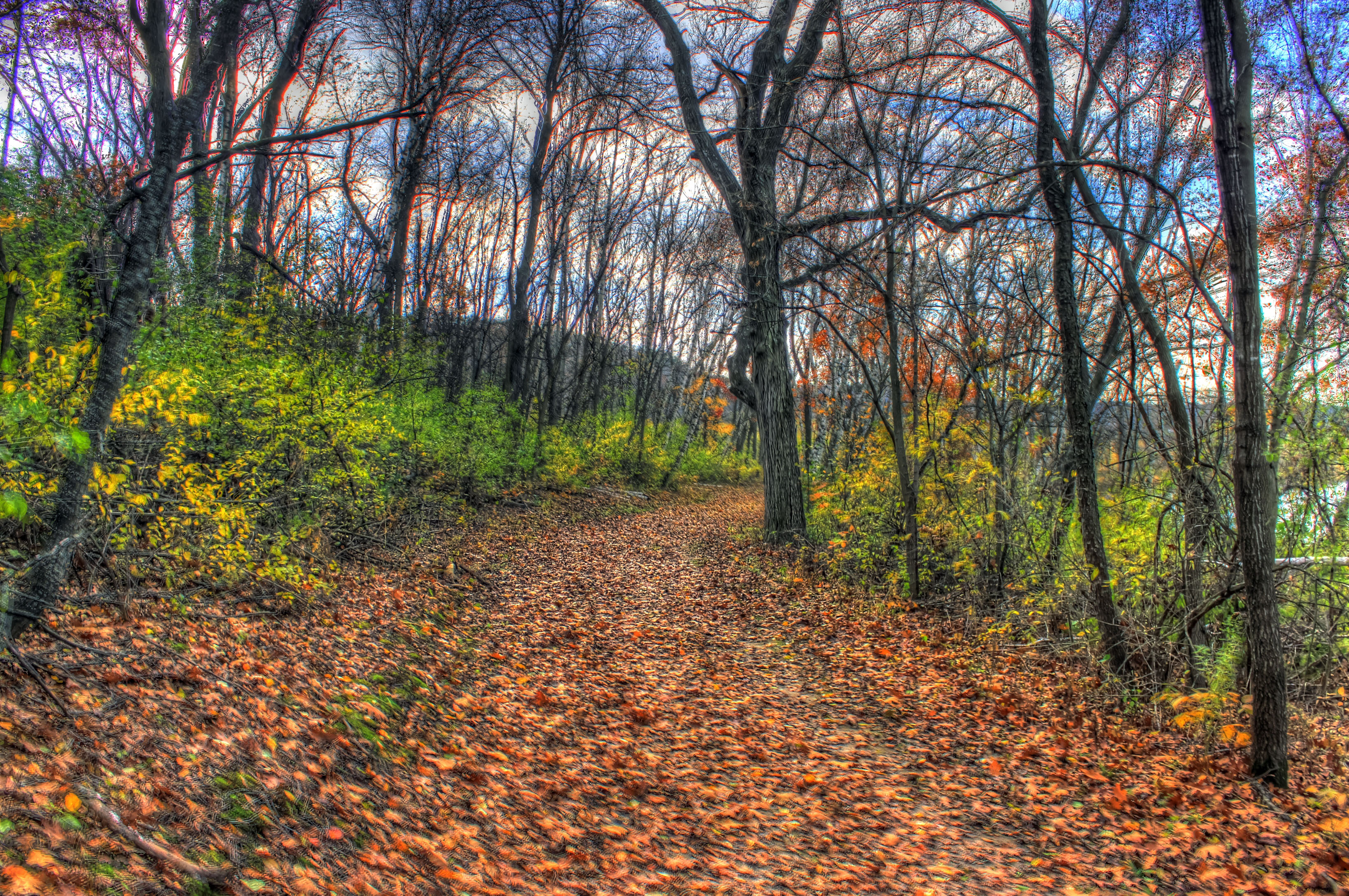 Hiking Trail at Indian lake