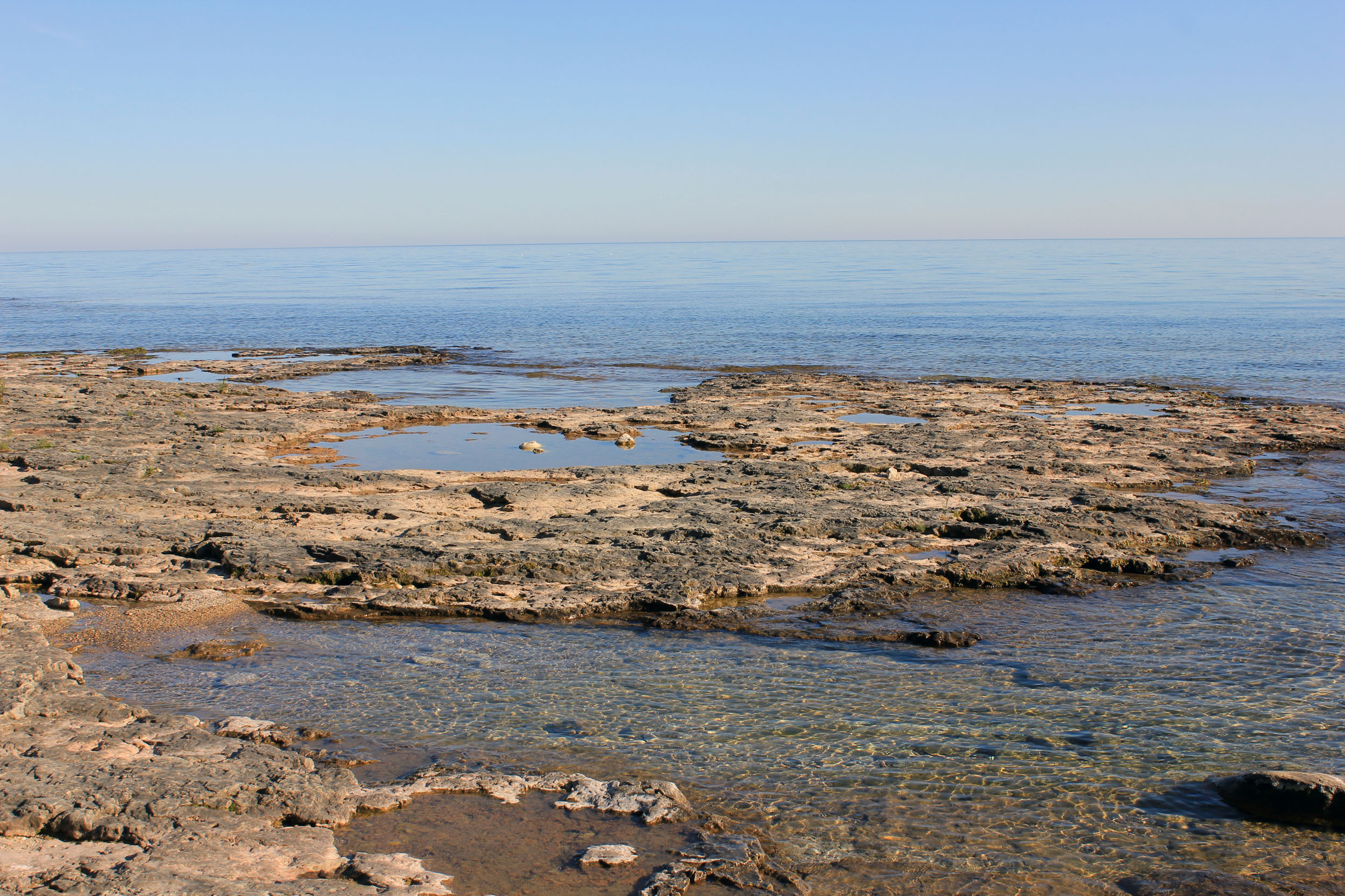 Tide Pools