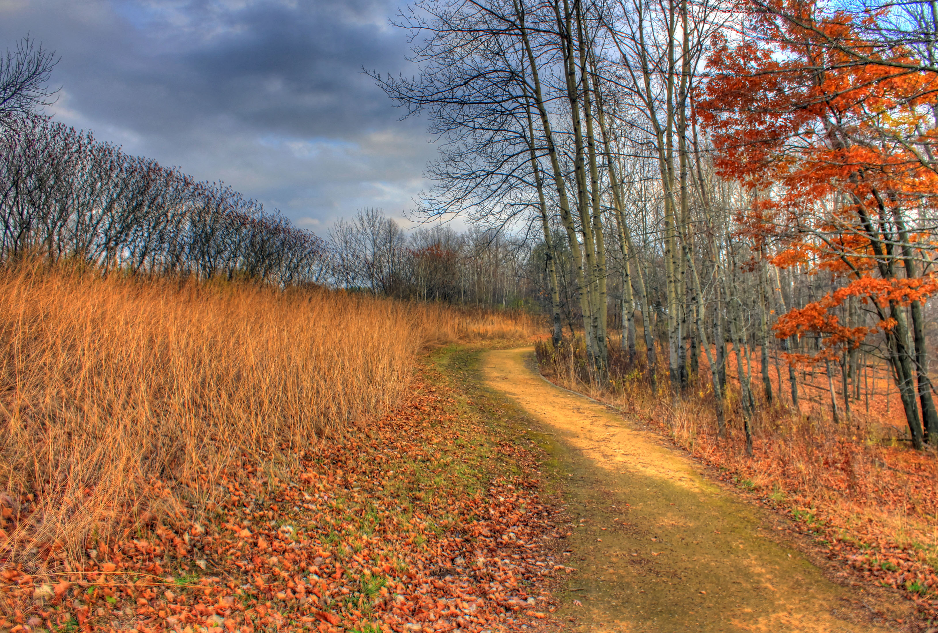 Hiking Trail at Wildcat Mountain State Park, Wisconsin image - Free stock photo - Public Domain ...