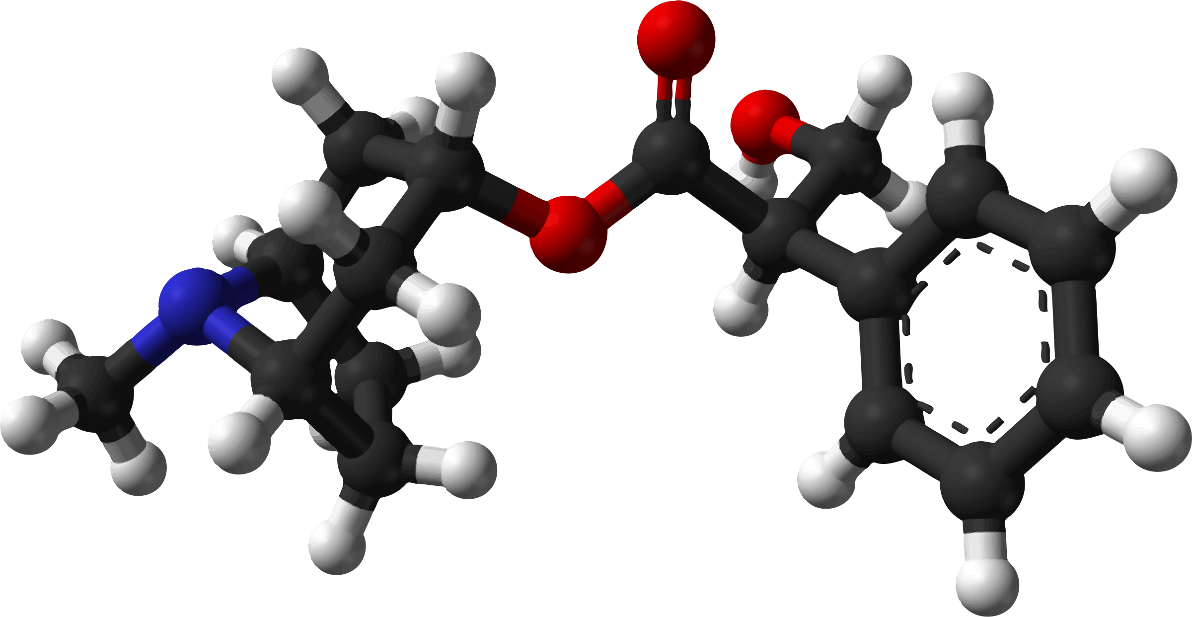 Download 3d Model of Molecules Vector Clipart image - Free stock ...