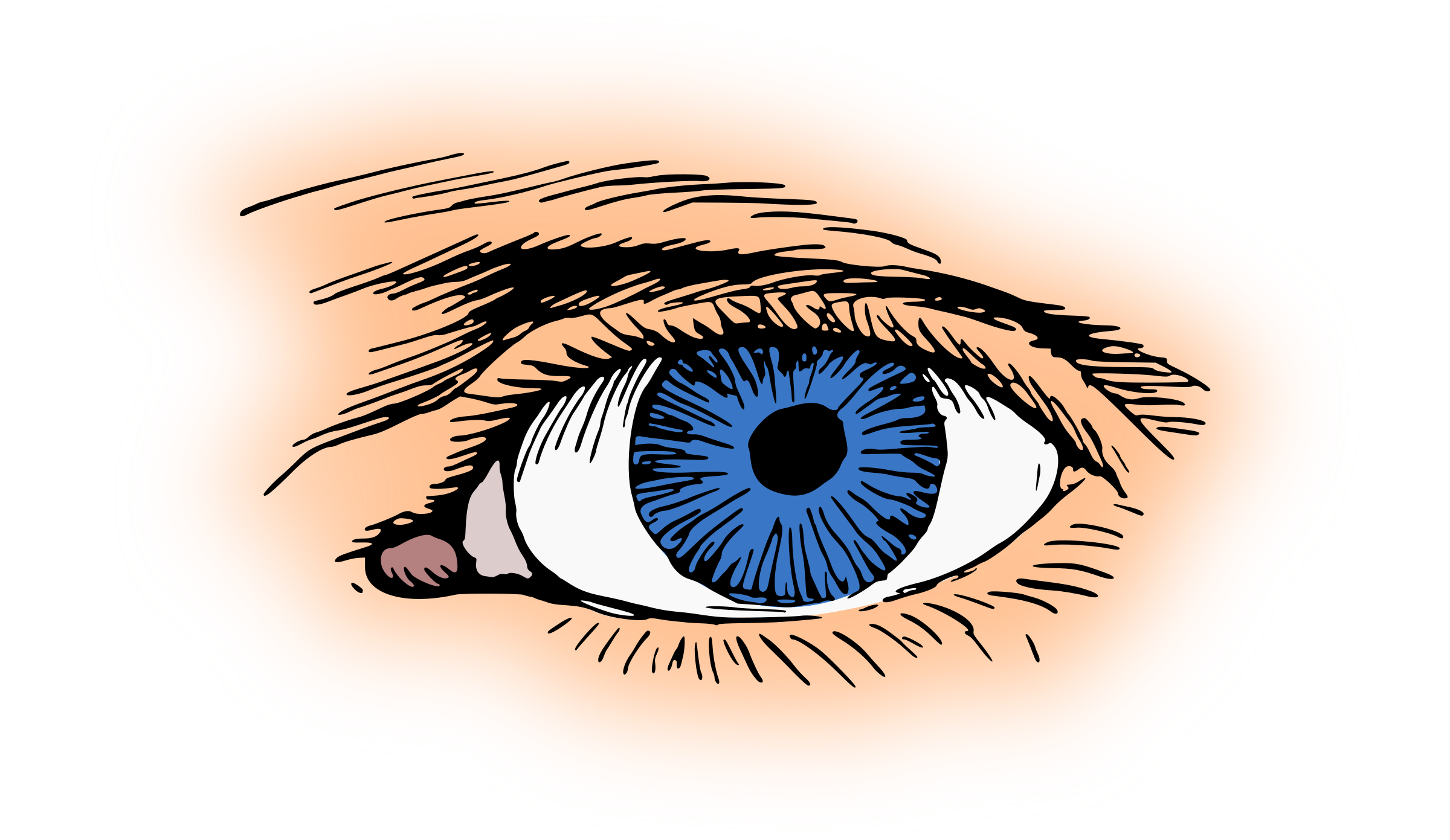 Download Blue Eye Vector Clipart image - Free stock photo - Public ...