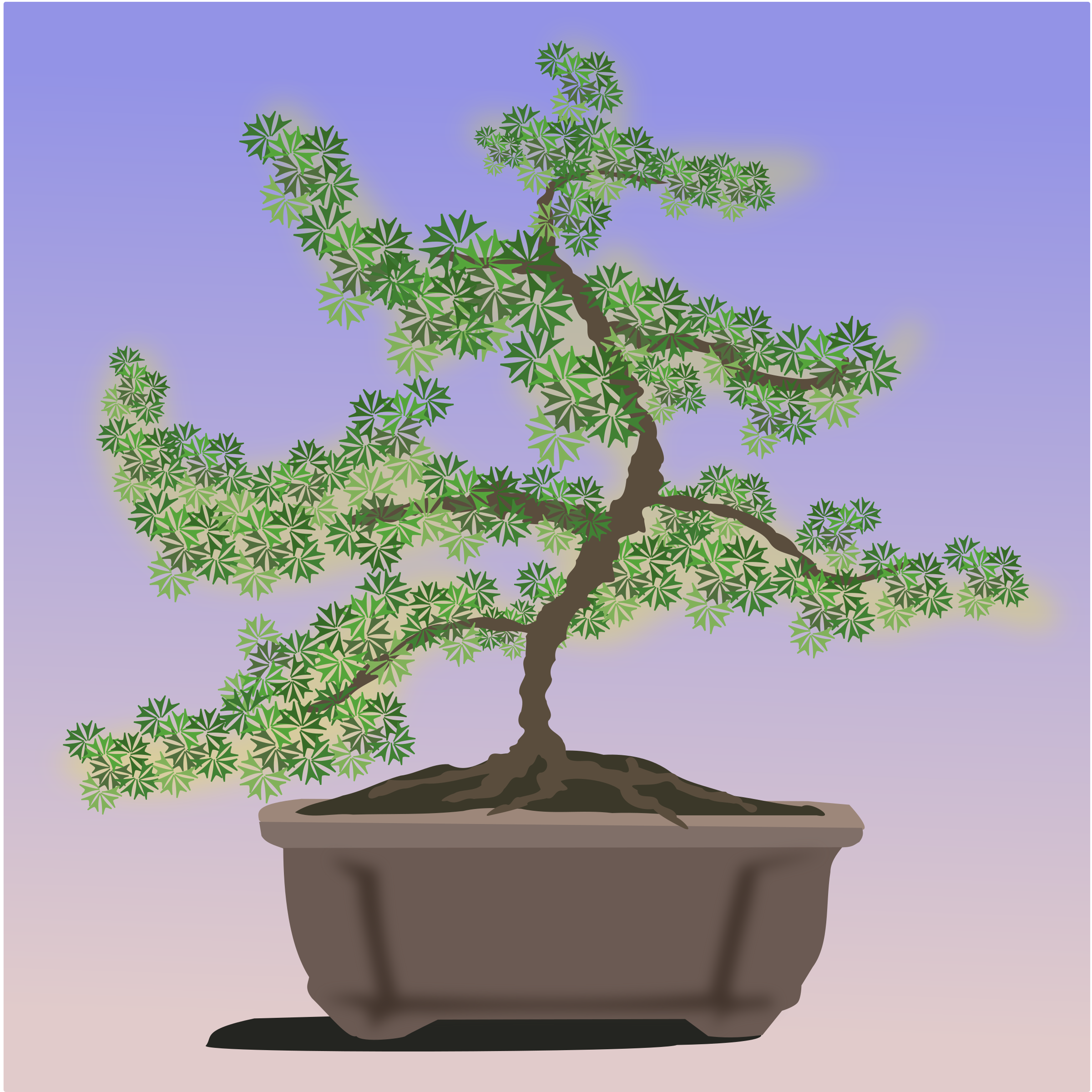 Amazing Bonsai Trees: Bonsai Tree Vector Art