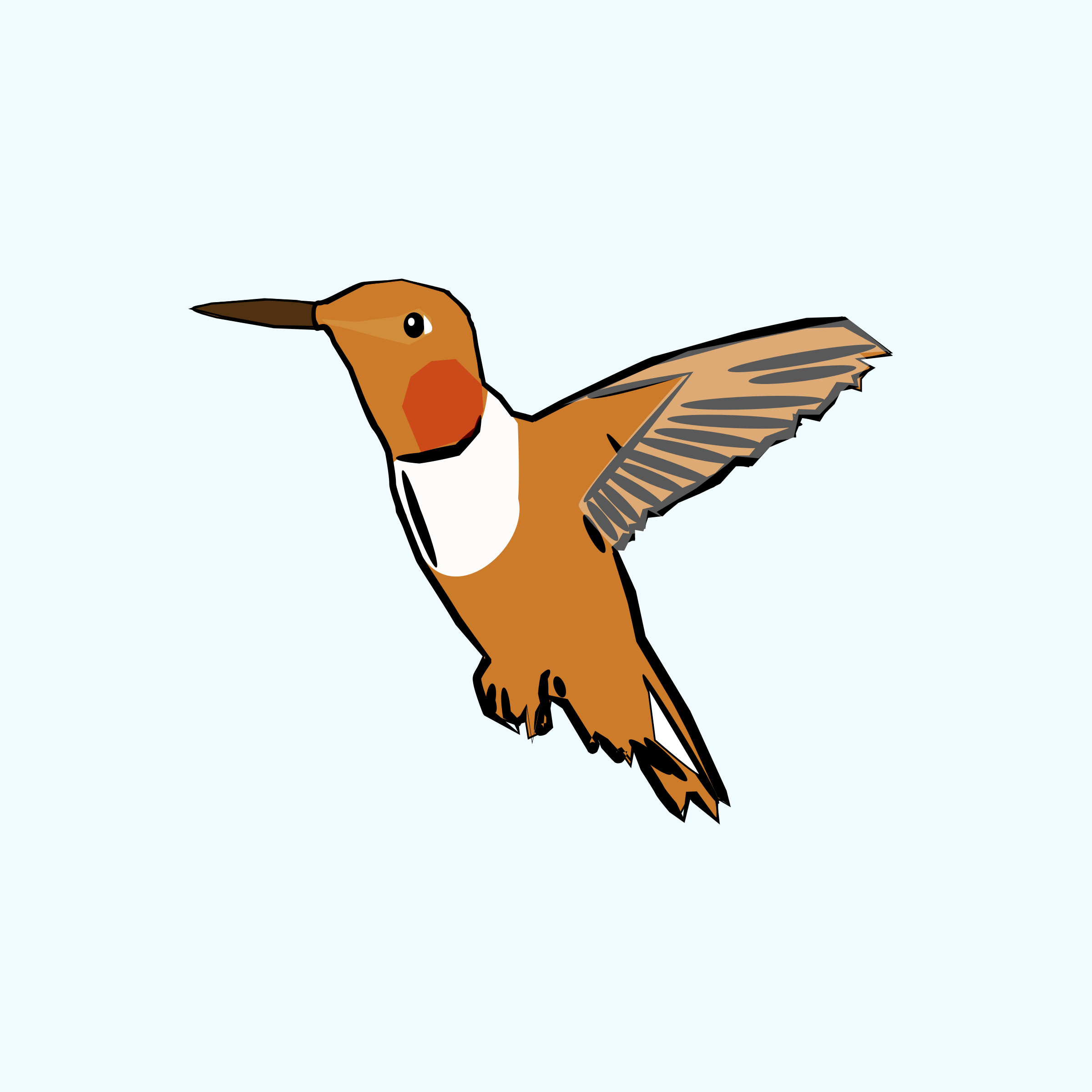 Brown and white hummingbird Vector Clipart image Free