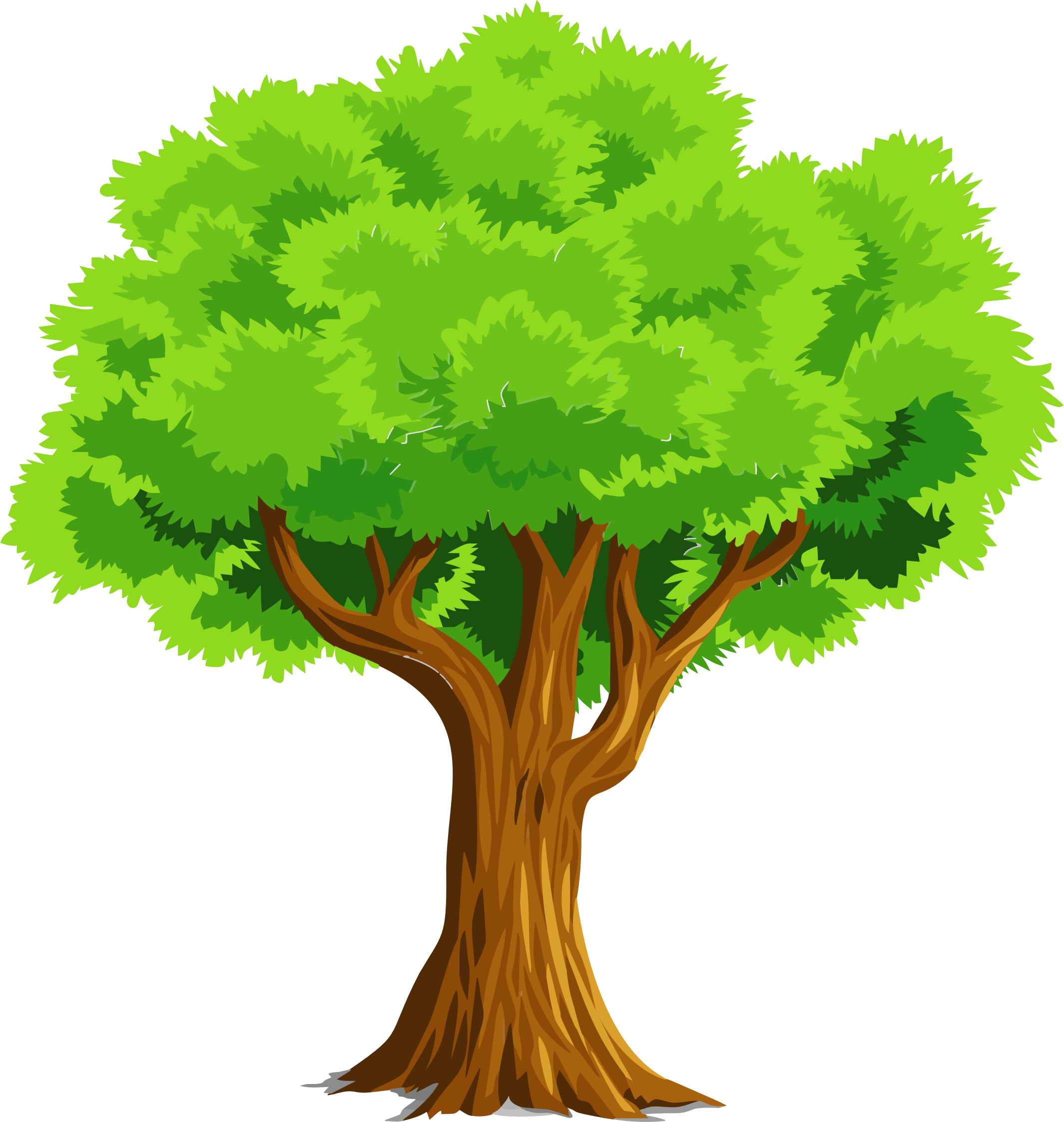 tree clipart vector free - photo #8