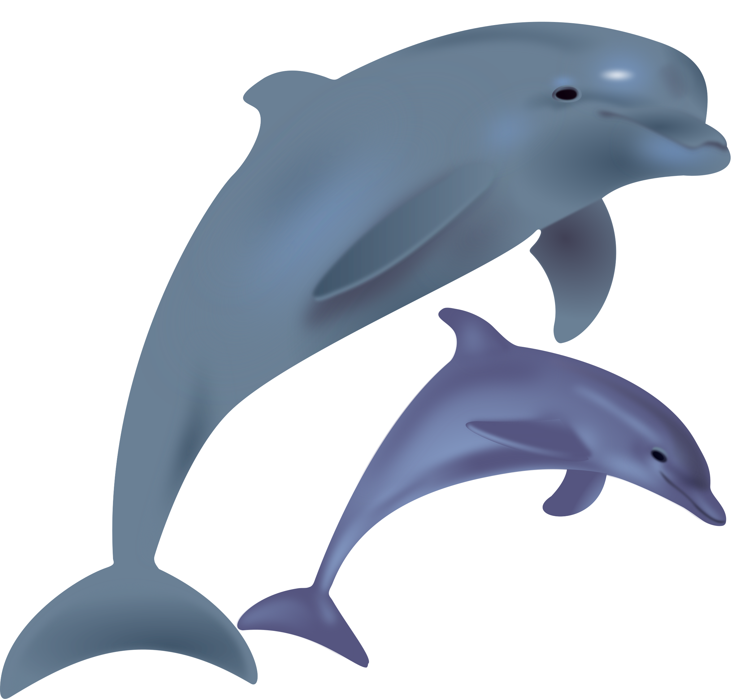 Dolphins Vector Clipart image Free stock photo Public Domain photo CC0 Images