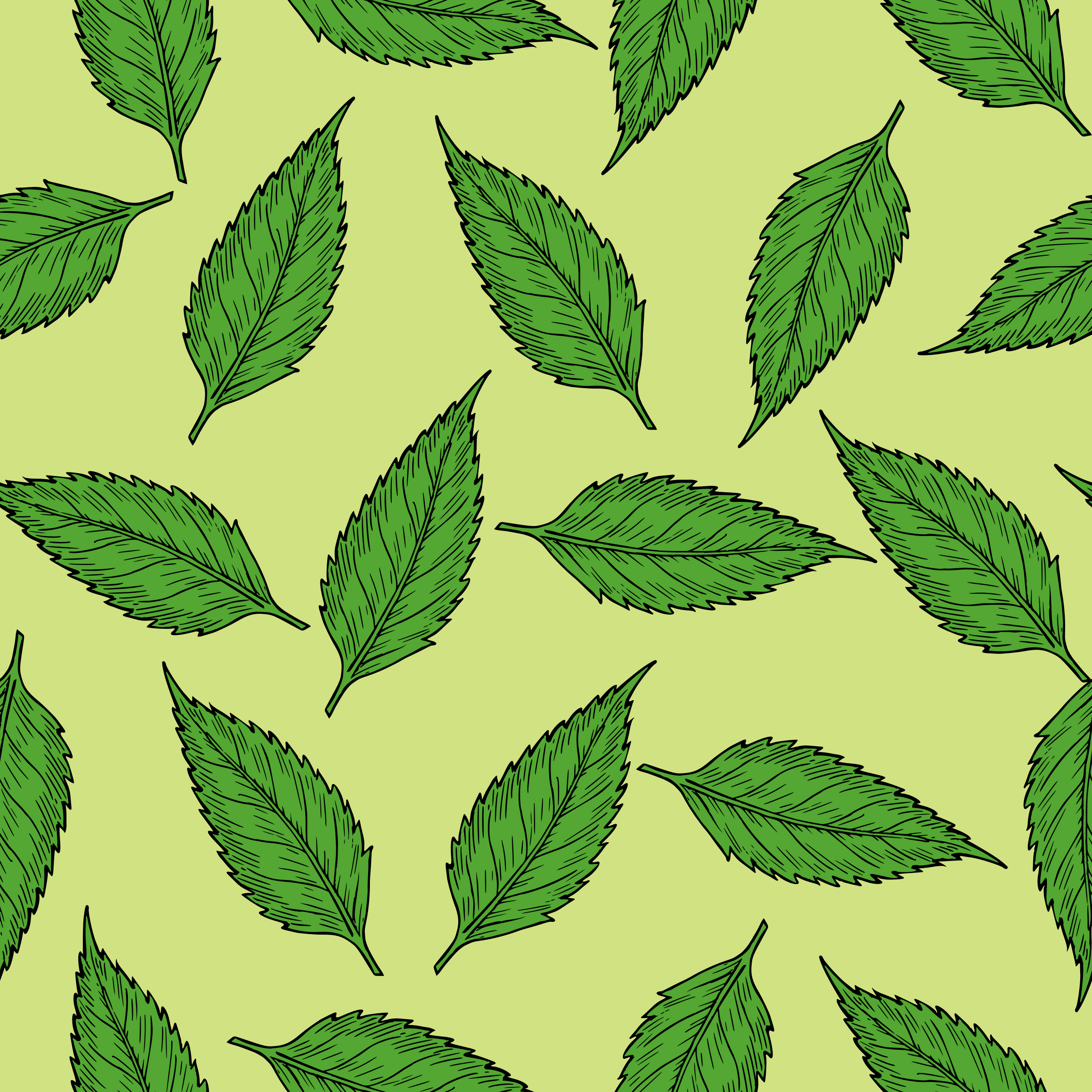 Green Leaves Pattern Vector Clipart Image Free Stock Photo Public Domain Photo Cc0 Images