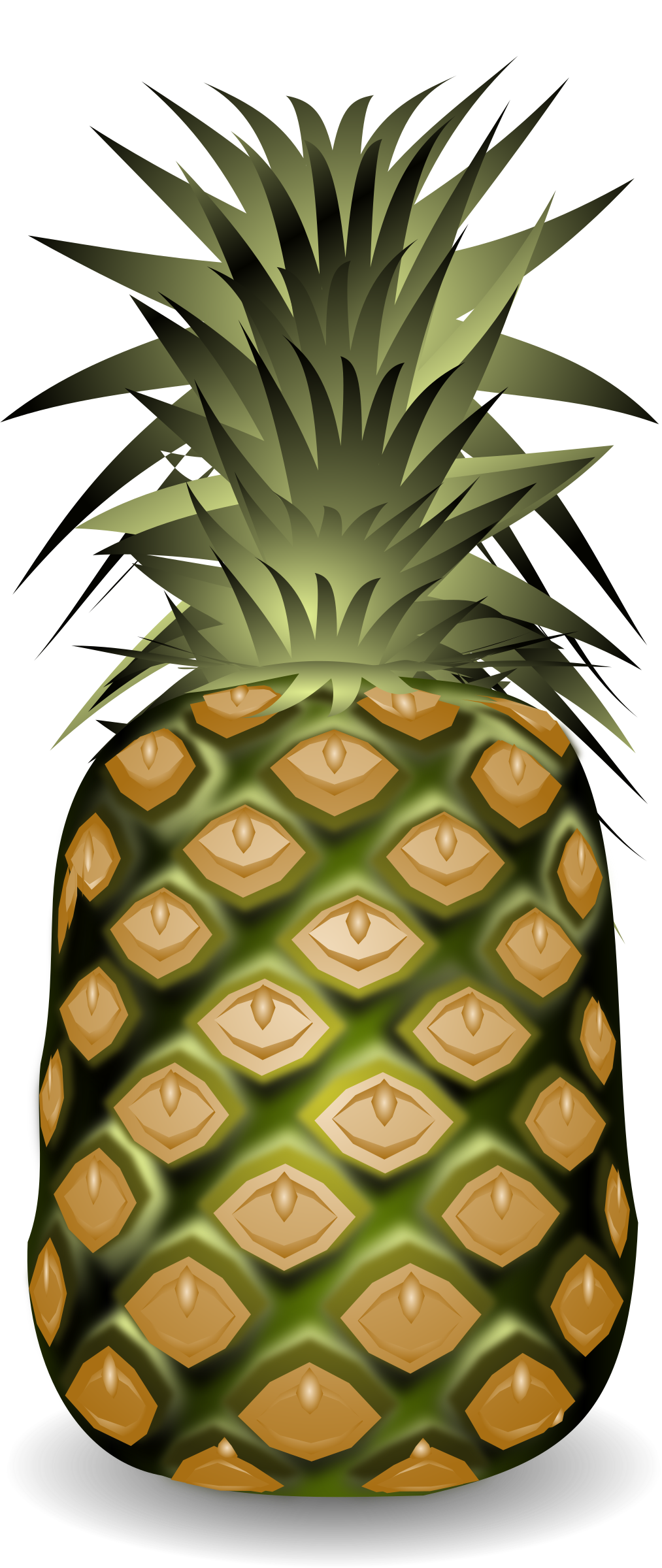 Pineapple Vector Art image - Free stock photo - Public Domain photo
