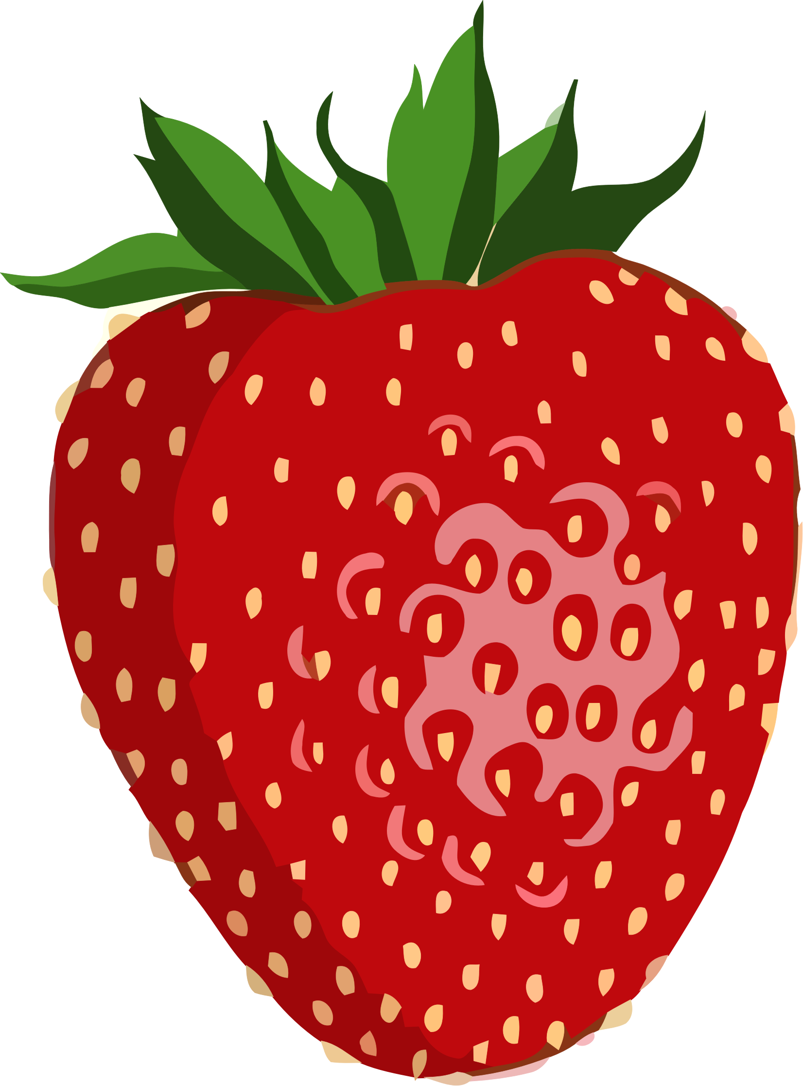 clipart strawberry - photo #49