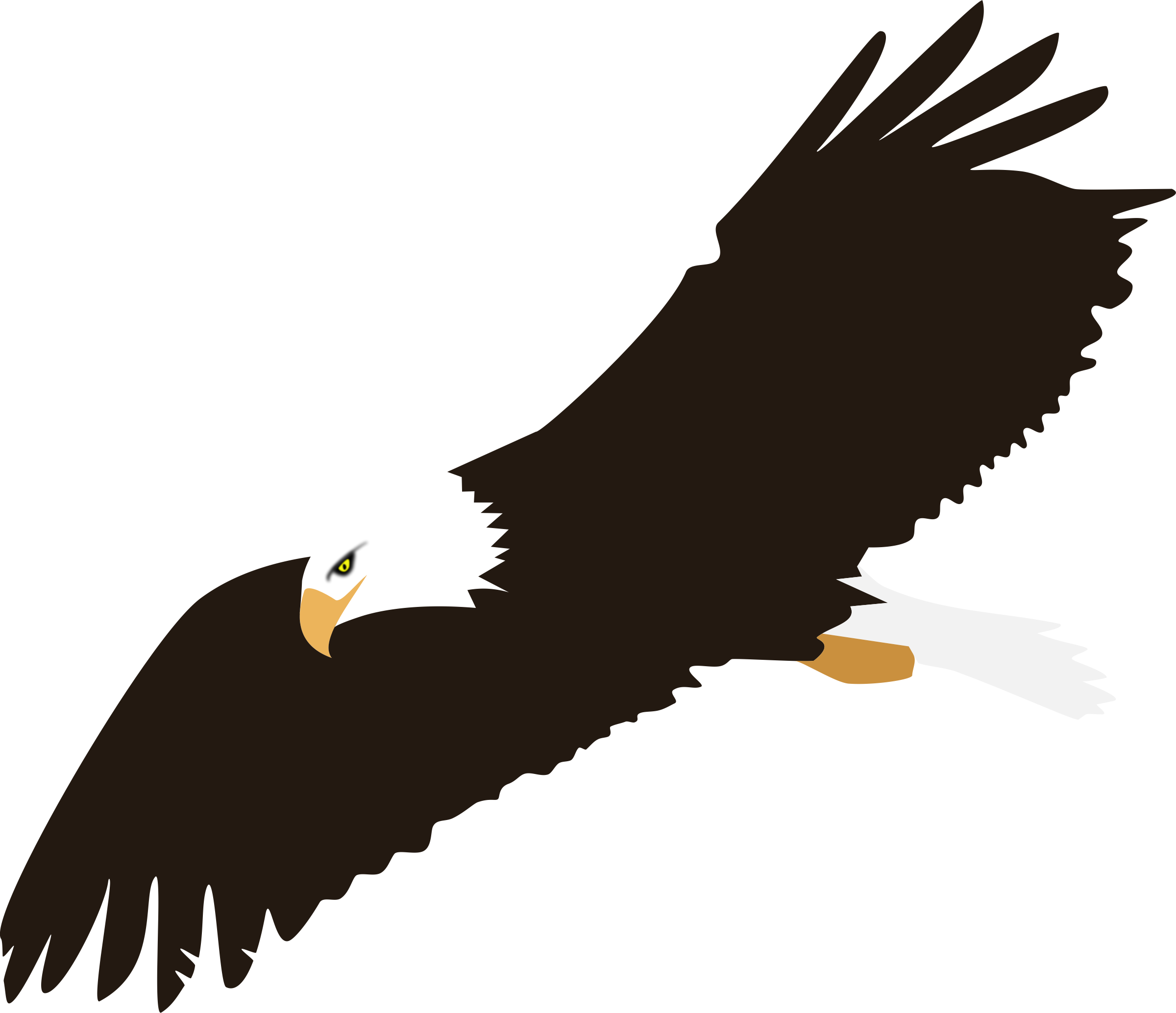 eagle vector clipart - photo #12