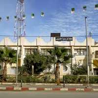 Tropical trees and buildings in Algiers, Algeria