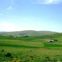 Plains, meadows, and grass, farmland in Algeria