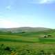 Plains, meadows, and grass, farmland in Algeria