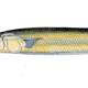 Atlantic Saury - Scomberesox saurus