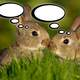 Bunnies with thought bubbles