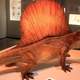 Dimetrodon