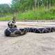 Eastern King Snake