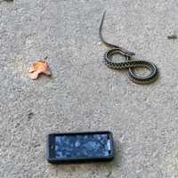 Snake and I-phone