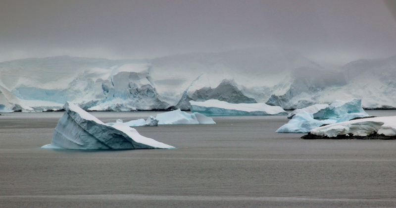 Large icebergs in the water in Antarctica image - Free stock photo ...
