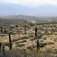 Desert Landscape in Salta, Argentina