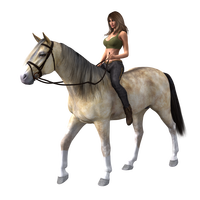 Beautiful Woman on a horse in a sportsbra