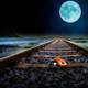 Moon over the train tracks with ladybug