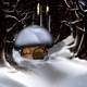 Mushroom house in the snow in the woods