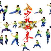 Tiger Kung Fu Martial Arts
