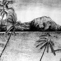 Tropical Scene with Palm trees and hills