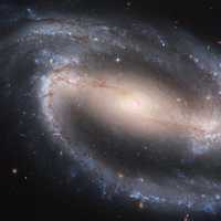 Spiral Galaxy