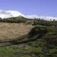 Montague Island Replanting in New South Wales, Australia