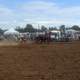 Rodeo at Cessnock showground, New South Wales, Australia