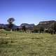 Hills and plains in Lamington National Park, Queensland, Australia