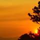 Sunset in Lamington National Park, Queensland, Australia